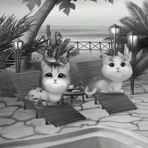 Meet your Posher, Ivon